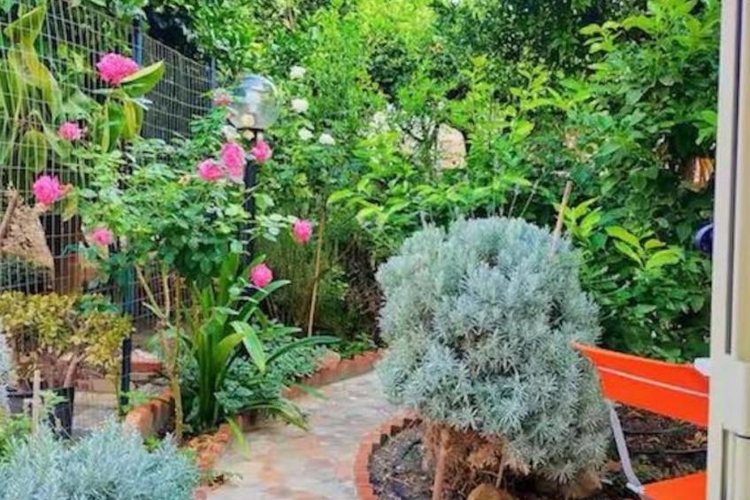 'The Garden - foto 11