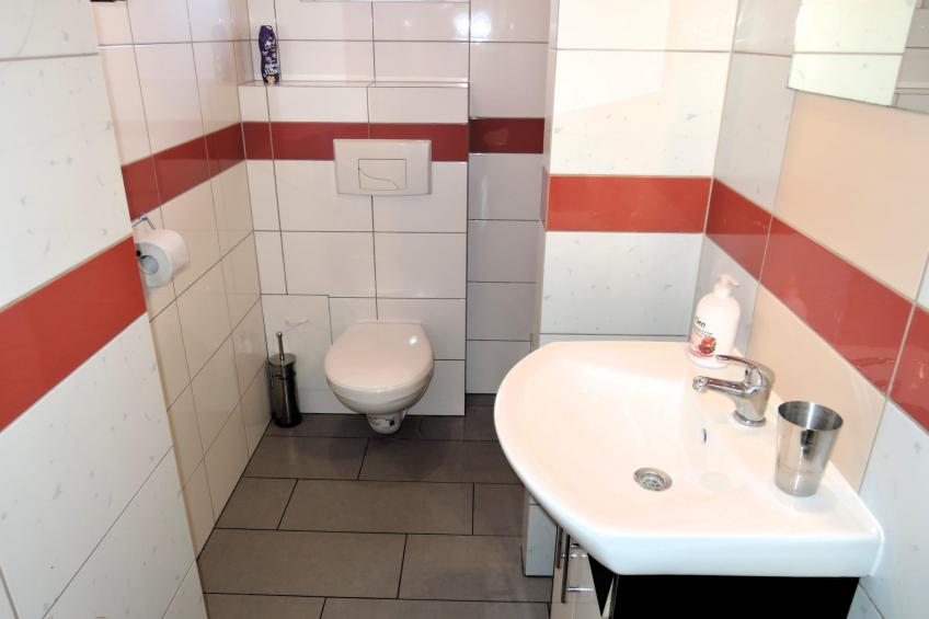 Agri-tourism , Jezierzyce - Type C - foto 6