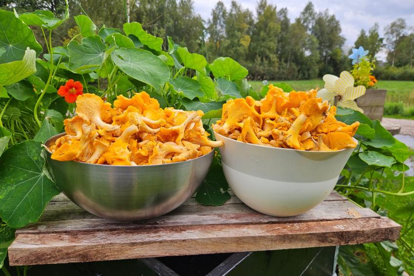 Cottage mit Whirlpool - foto 10