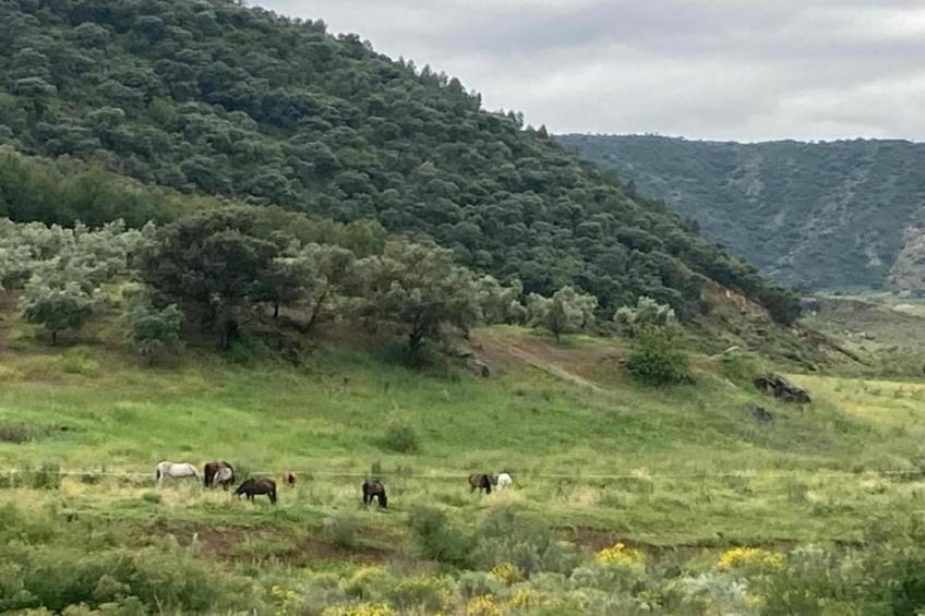La Cocineta - foto 23