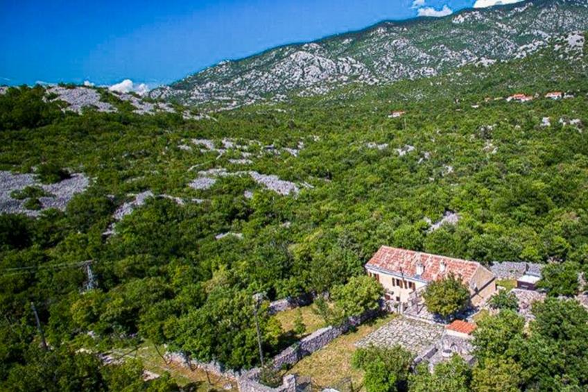 Haus Tomiceva (SNJ228) - foto 40