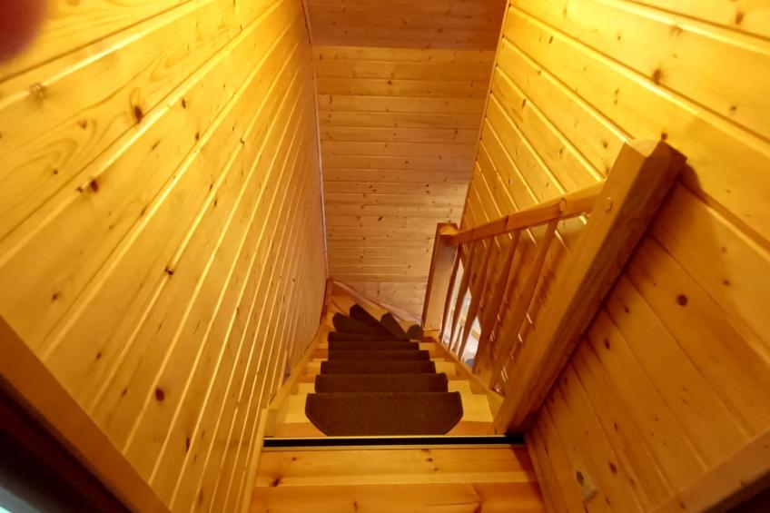 "Paradise Star Bobolin" - foto 17