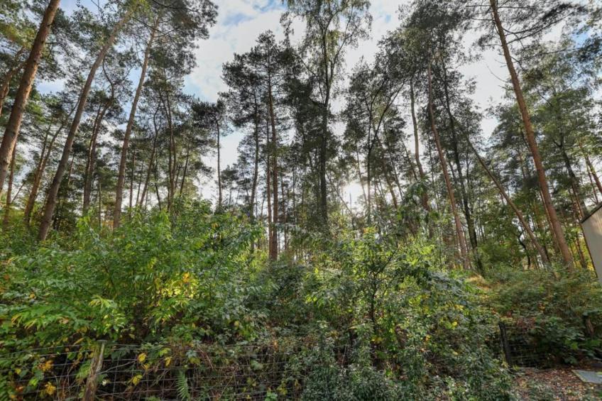 Vakantiepark Hessenheem 4 - foto 35