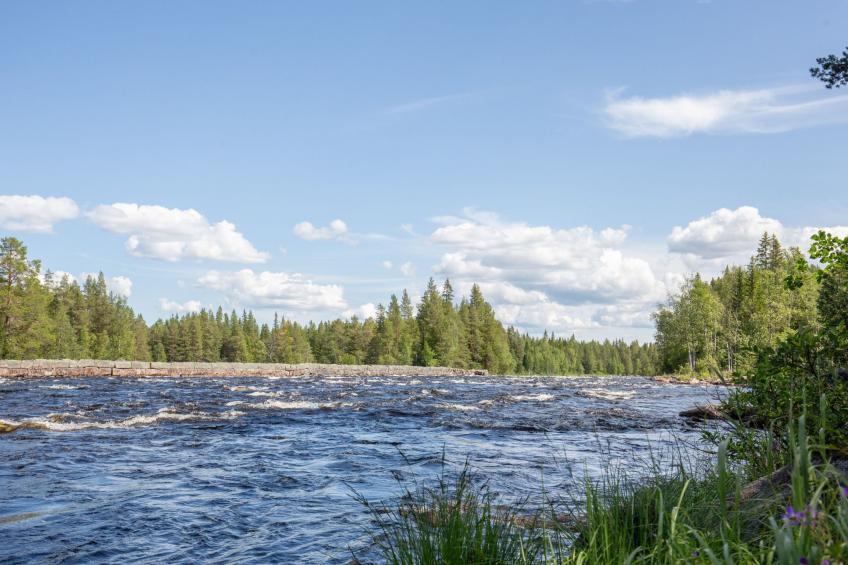 Linsell Villan - foto 37