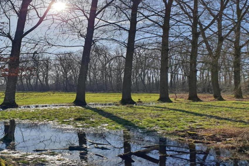 De oude stal - foto 34