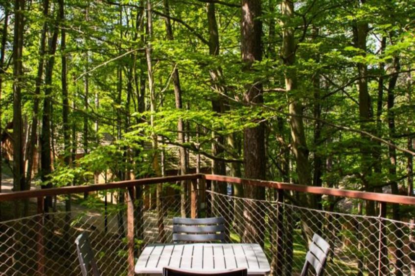 Gîte Cabane insolite dans les cévennes – les sous-bois 3 étoiles - foto 18
