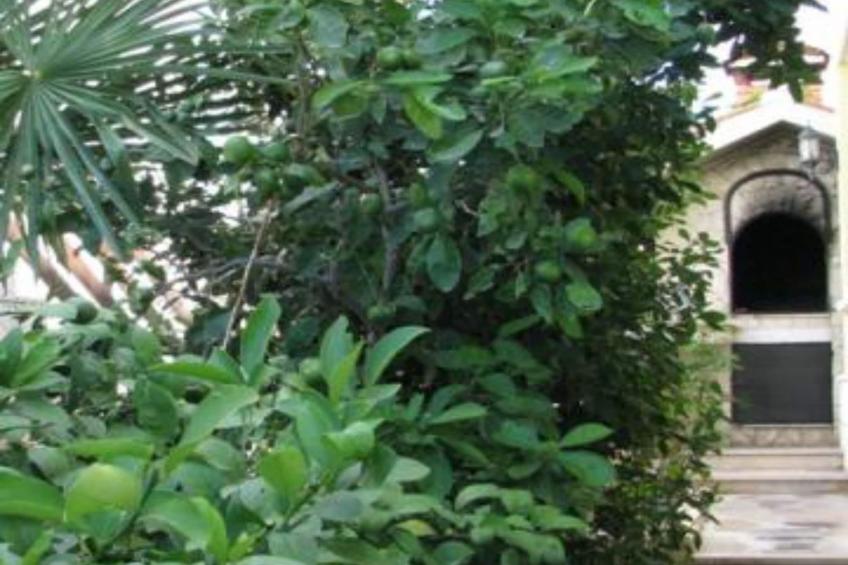 Apartments Milakovic-Kanica - Standard  One Bedroom Apartment with Sea View and Terrace (BR. 2) - foto 8