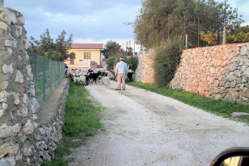 Casa Monti Iblei - foto 25