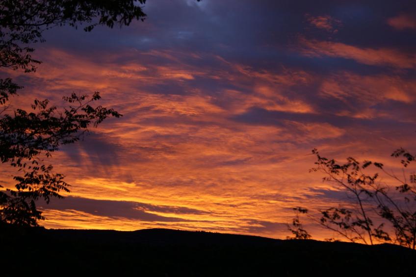 La Ribelle en Provence - Lou recati - foto 17