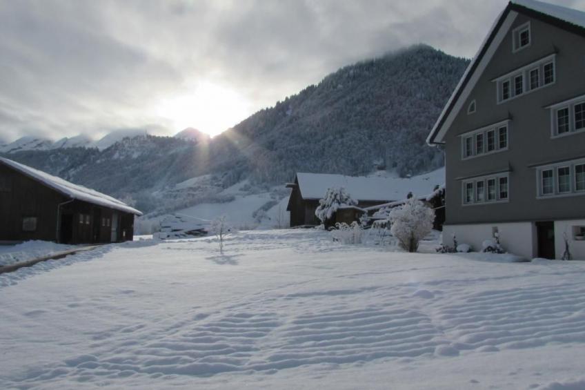 Wis (Stein) - foto 11