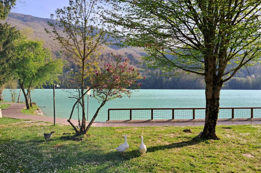 maison de vacances "Arba via manzoni". - foto 68