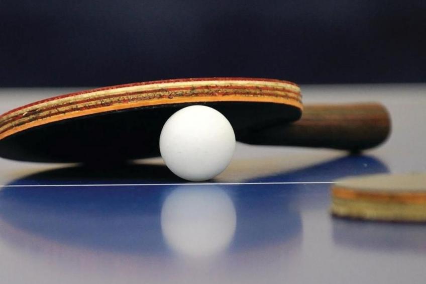 Villa "Magnolia" mit Schwimmbad, Sauna und Jacuzzi - foto 32