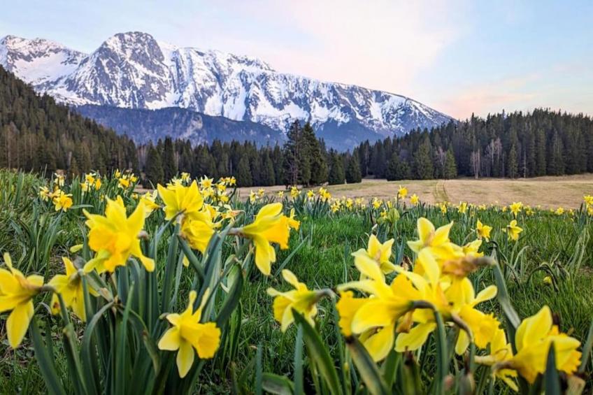 V du Bachat Arolles A n°26 - 2P4 - foto 12