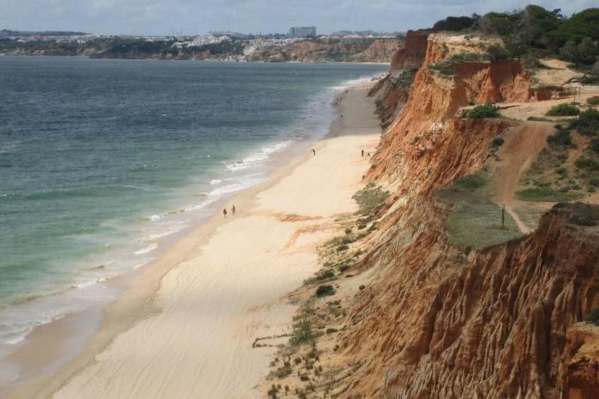 Pine Sun Park - foto 25