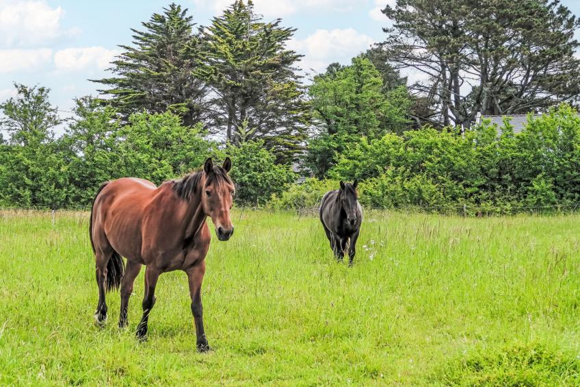 Belle Vue Mer - foto 30