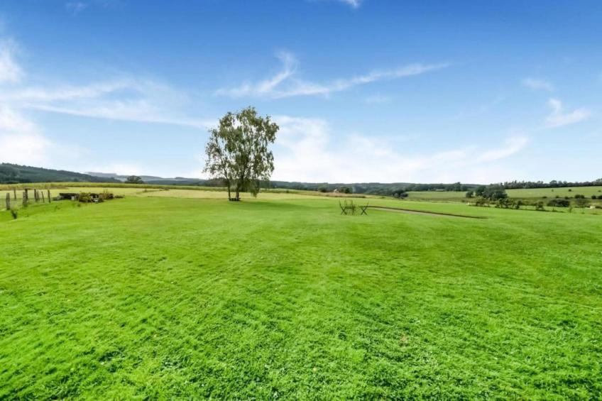 Petite Reine - foto 38