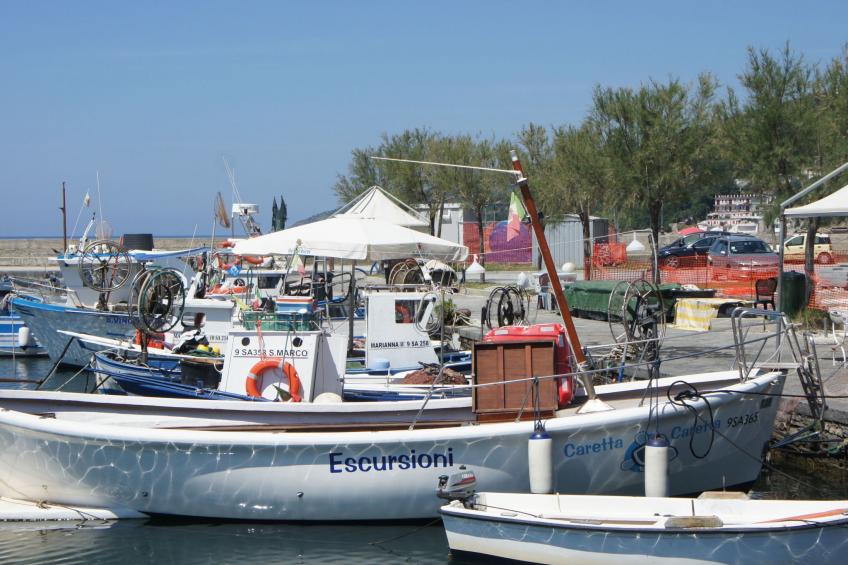 Casolare Olive - foto 26