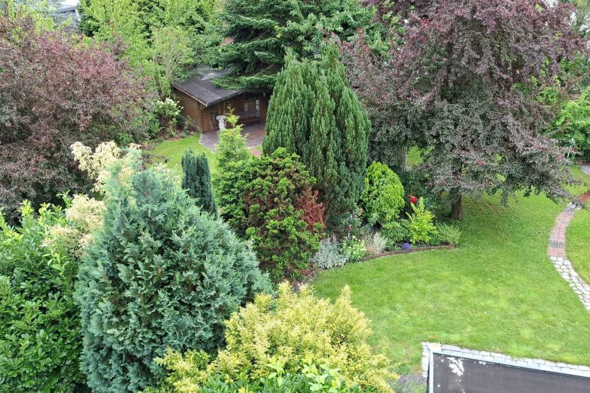 Möwennest - foto 17