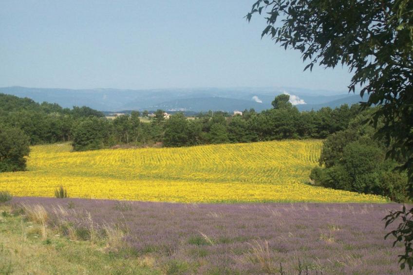 GITE im Herzen der Drôme Provençale - foto 19