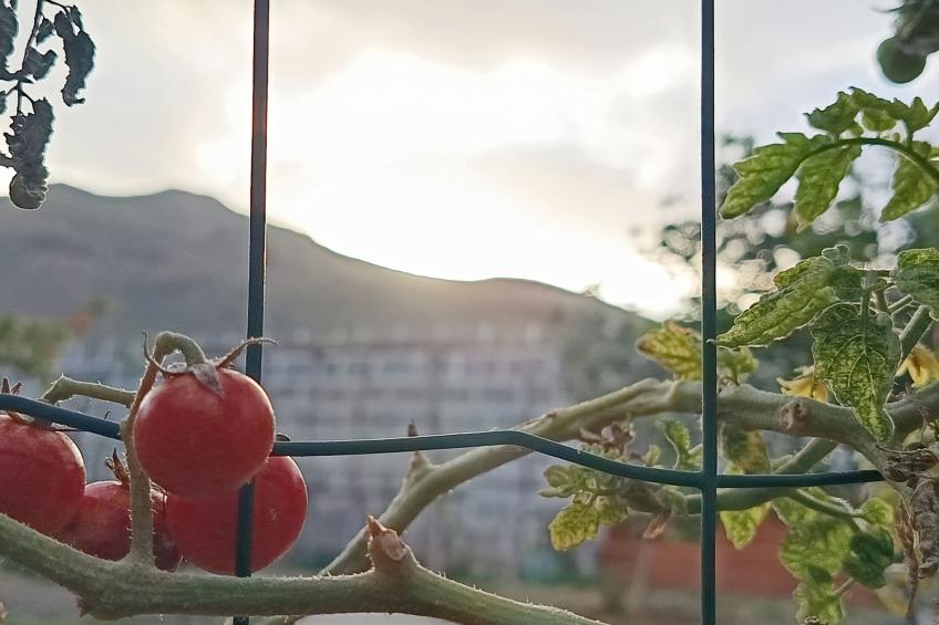 Edara Home - Haus mit privatem Garten - foto 5