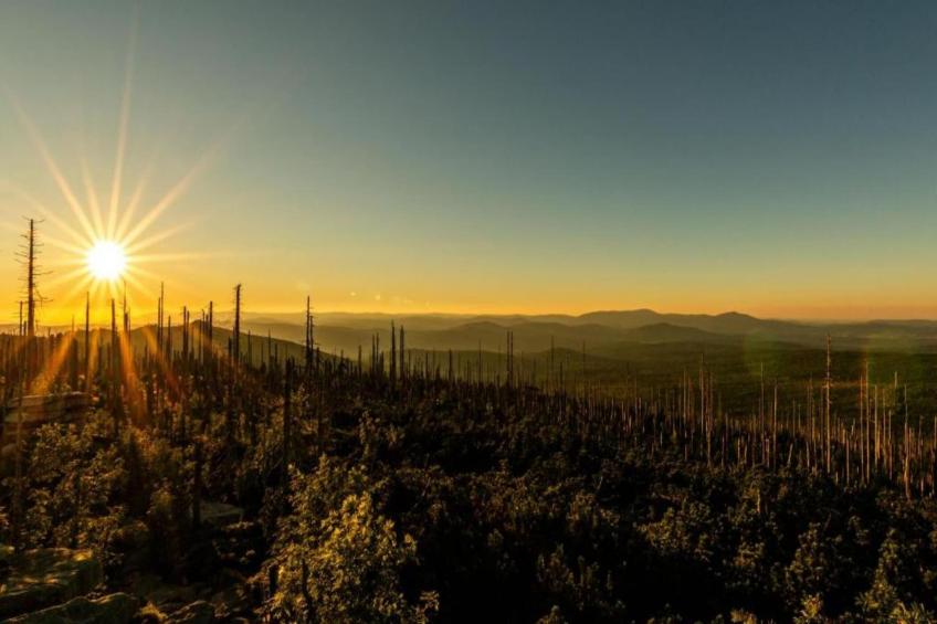 Gästehaus Kandlbinder - foto 34