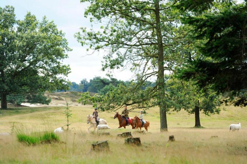 RCN Vakantiepark de Roggeberg 6 - foto 38