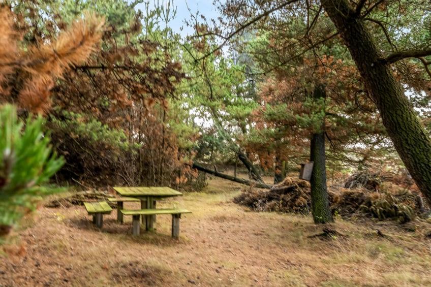 "Atreju" - 2km from the sea in NW Jutland - foto 20