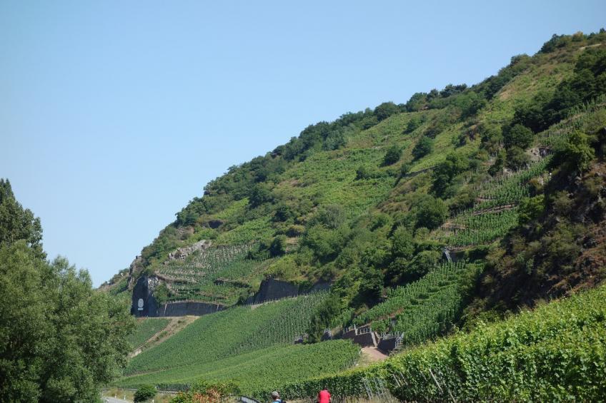 Stern - foto 33