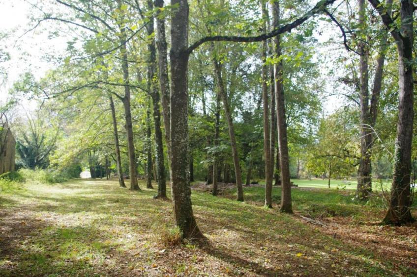 Maison de vacances - BERBIGUIÈRES - foto 28
