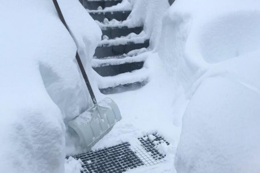 Appartements à Le Lioran - foto 41