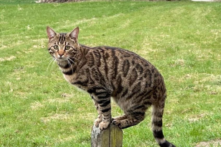 Fewo. Liebelt - foto 40