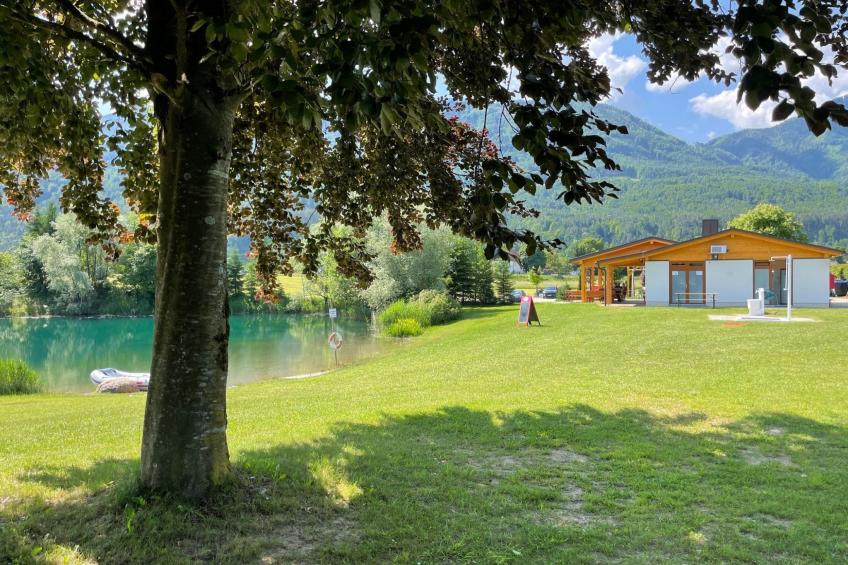 Erle in Feistritz im Rosental - foto 21