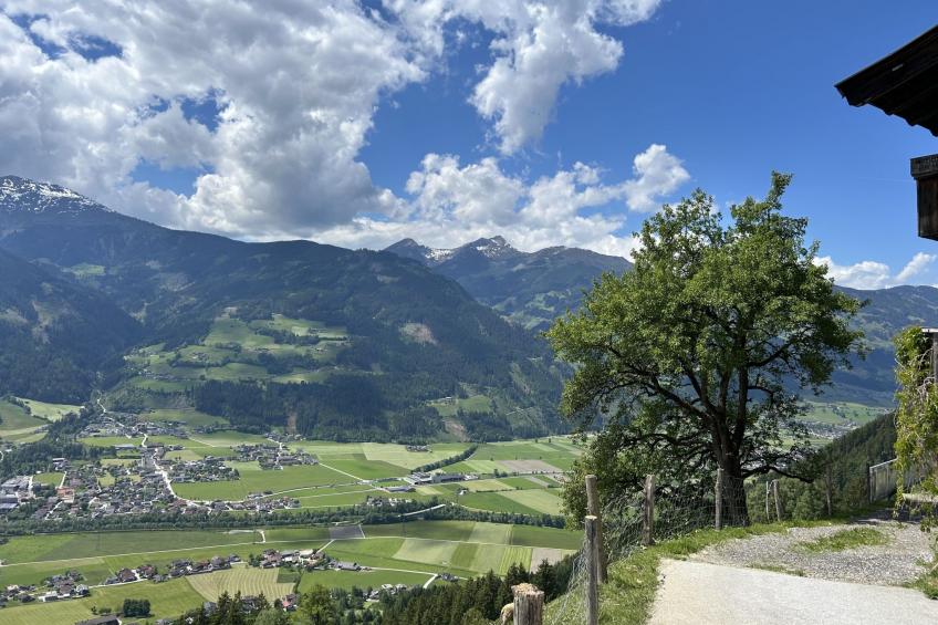 Boederij - BF-RX22 - foto 2