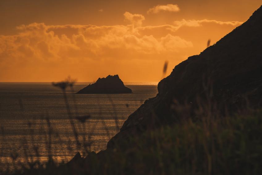 The Old Store - foto 24