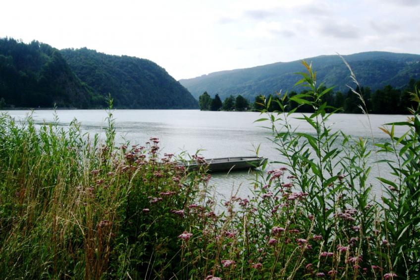 Örtl in Obernzell - foto 23