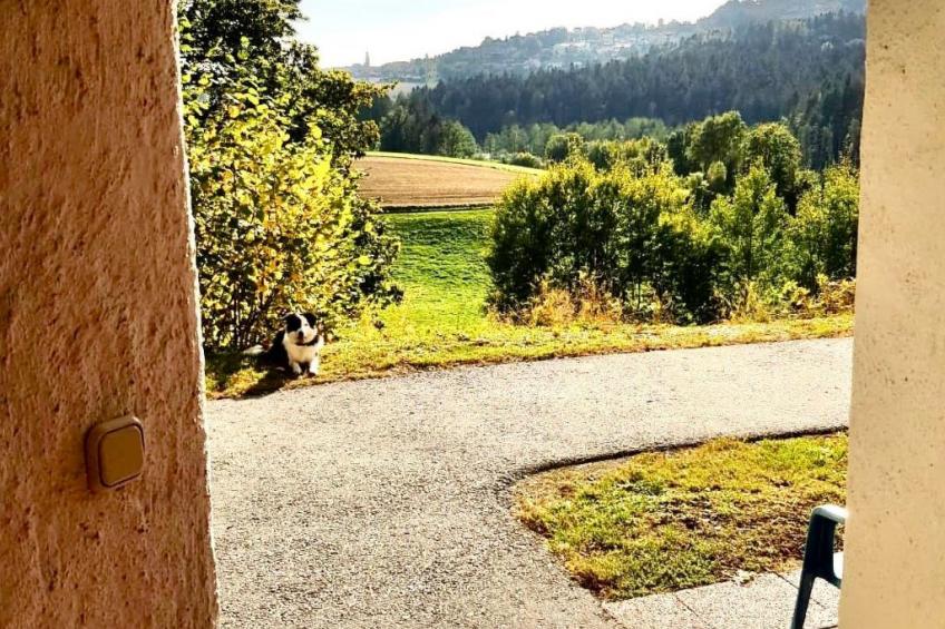 Relax Family Stay - foto 22