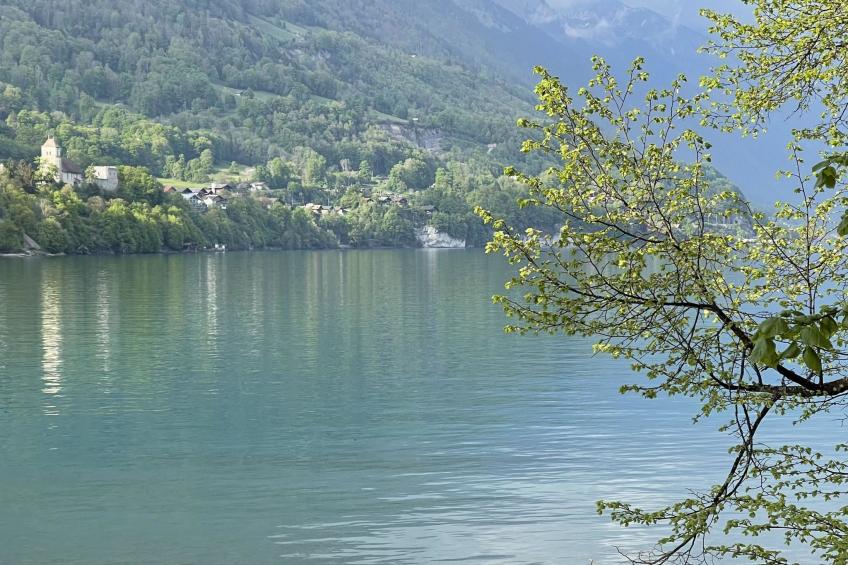 Panoramaferienwohnung Waldkircher Appartement/Fewo - foto 30