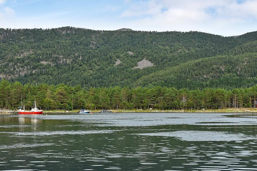 56762 LANGNESET - foto 49