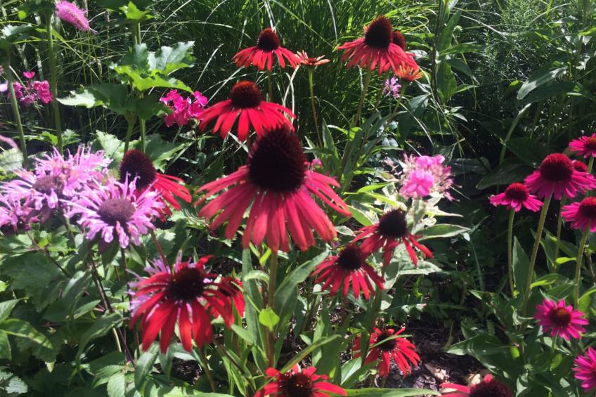 The Water Mill of Tourteron - foto 25