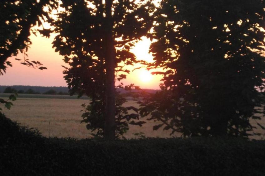 Apartment Eilenburg - foto 20