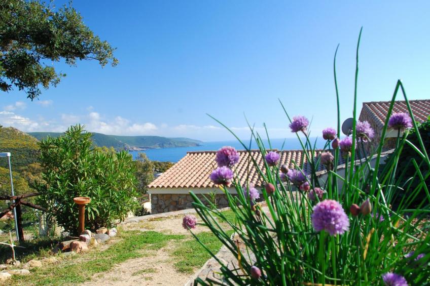 direkt am Wasser - foto 9