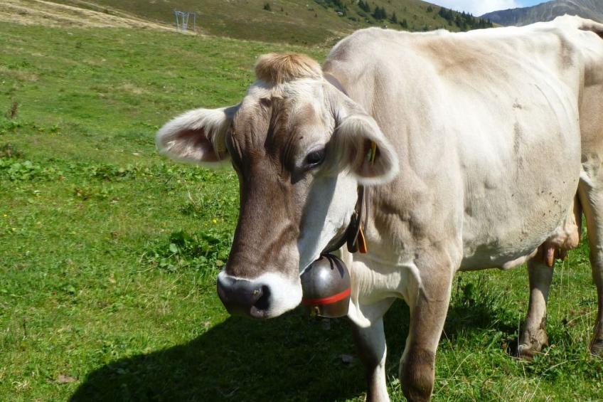 Fachwerkhaus "gitealienor perigord" - foto 52