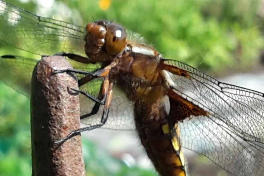 Appartement mit Wallbox - foto 41