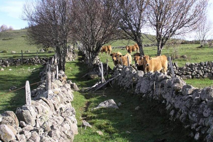 Gîte de France Bon aubrac pour 12 personnes 2 épis - foto 54
