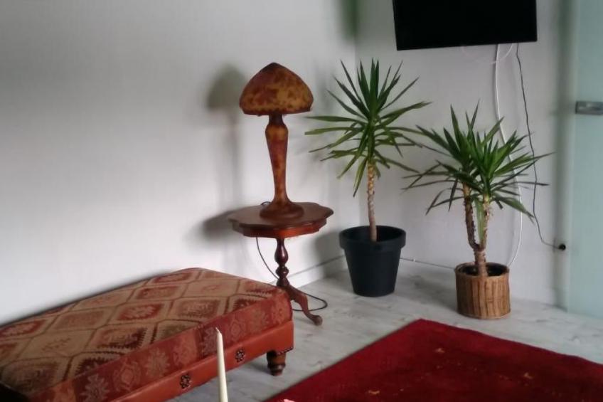 in Hauenstein mit Garten und Grill - foto 6