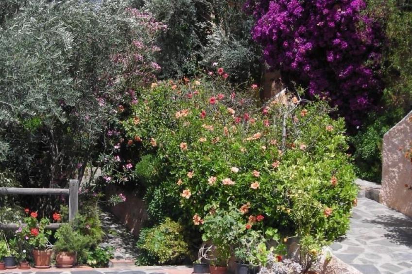 Gemütliches Ferienhaus in Tíjola mit Grill, Garten und Terrasse - foto 15