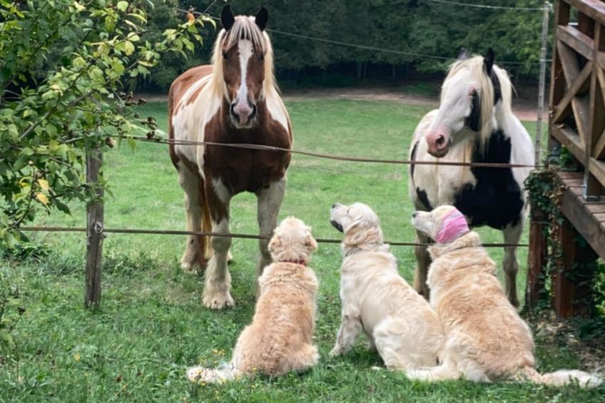 Le Mas dAmour - foto 52