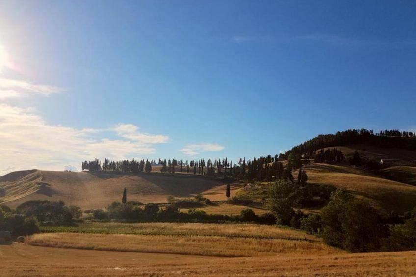 Villa Alice - foto 32