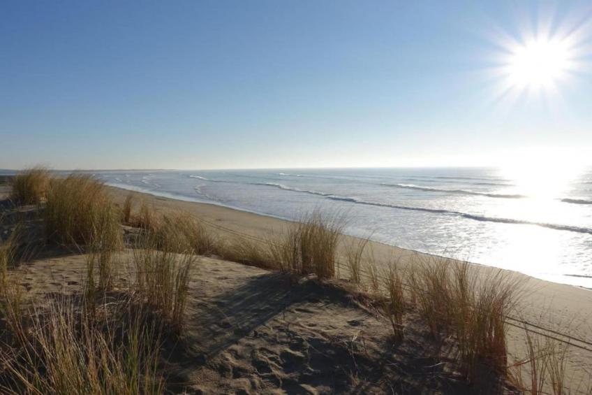 Le Village des Amareyeurs - foto 28