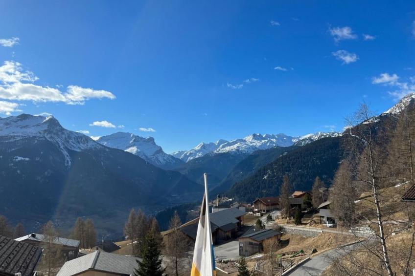 Tgea Beverin - foto 13